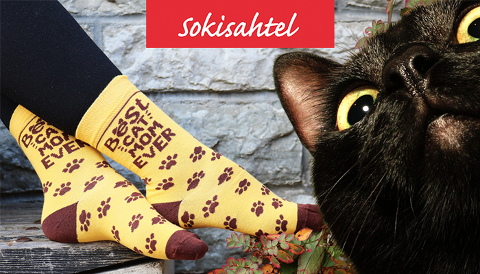 Musta kassi kuu 2021 – mustad kiisud ootavad kodu!
